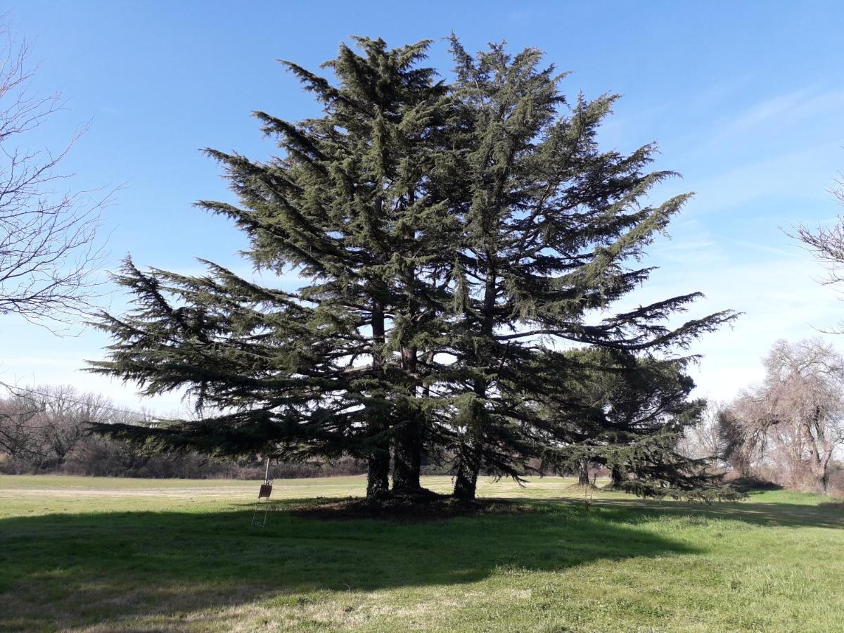 Antico Borgo Di 4* Sutri